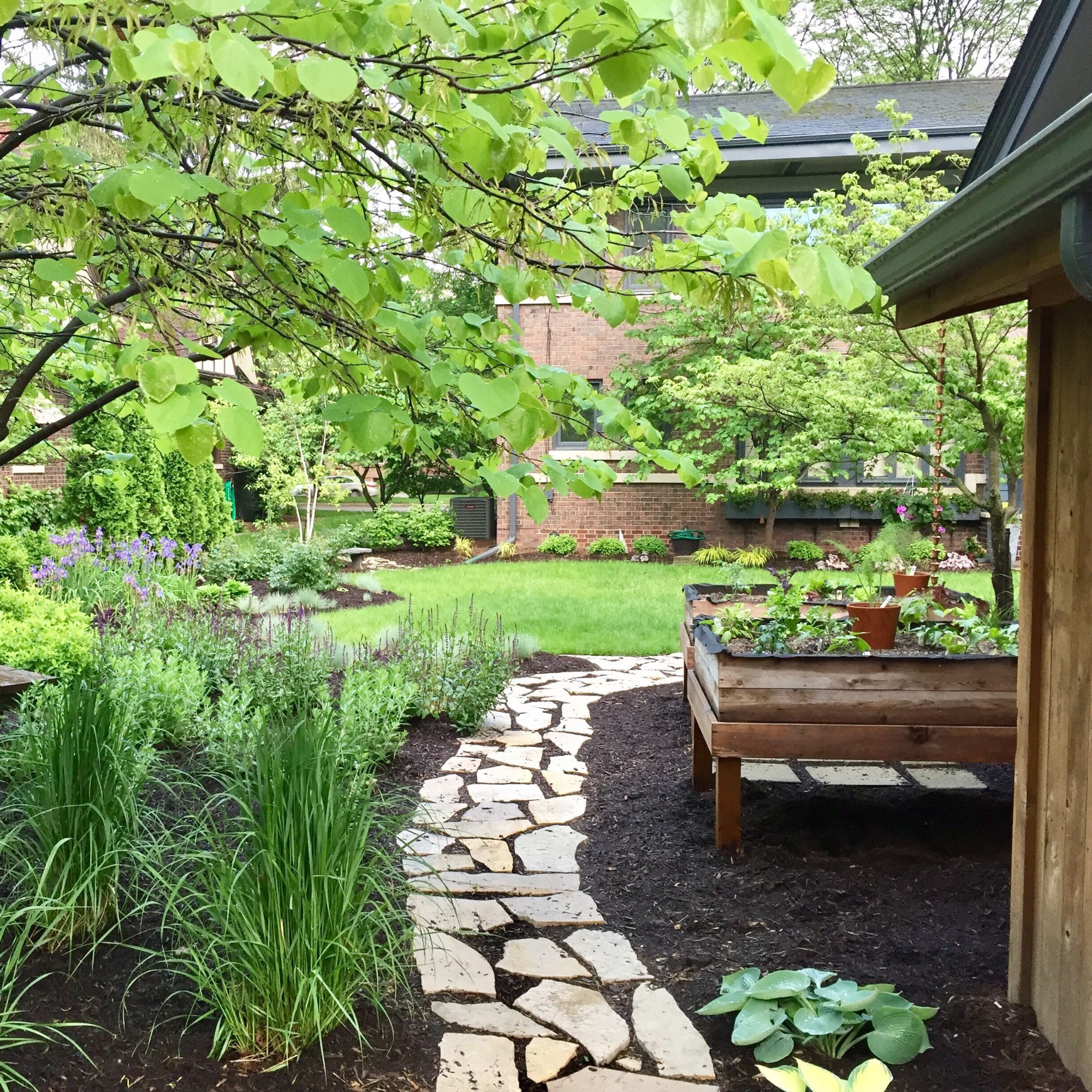 Stepping stone garden path and raised planting by Topo d'Oro Landscape Design